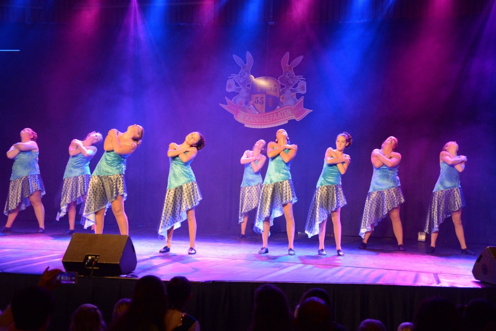 ../Images/Dansmarieke festival 2015 516.jpg